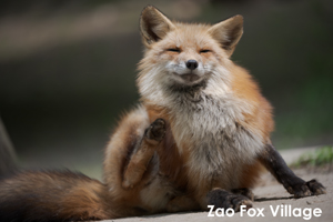 somoriyama_aug_2009_06lr