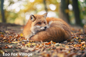 sshiroishigawa_apr_2012_08lr