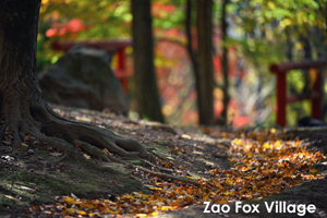 somoriyama_jan_2013_05lr