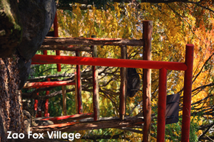 somoriyama_aug_2009_19lr