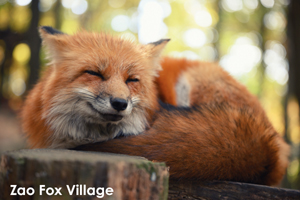 somoriyama_jul_2015_13lr