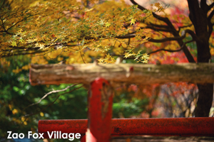 somoriyama_jan_2013_05lr