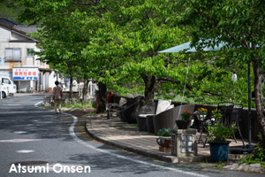 sshiroishigawa_apr_2012_08lr