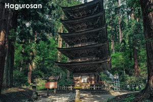 shagurosan_may_2018_02lr