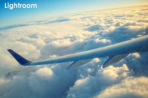 shaneda_jan_2019_01lr