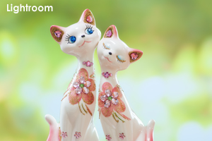 sinawashiro_apr_2019_01lr