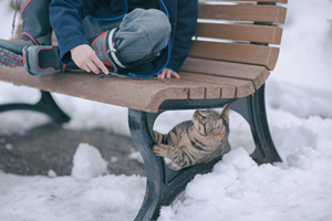 skajyo_jan_2008_11lr