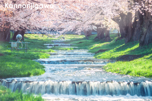 skannonjigawa2_apr_2019_03lr