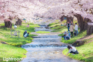 skannonzigawa_apr_2018_09lr