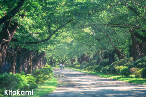 skitakami_aug_2009_06lr