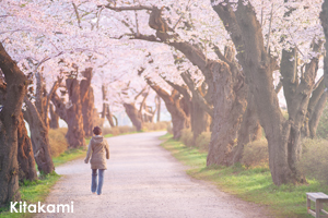 skitakami_may_2010_02lr