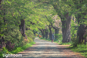 skitakami_may_2014_09lr