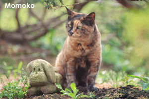 smomopan_may_2012_04lr