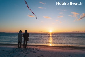 snobiru_jan_2009_11lr