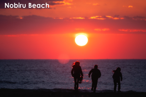 snobiru_jan_2014_06lr