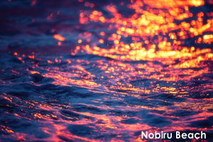 snobiru_jan_2014_09lr