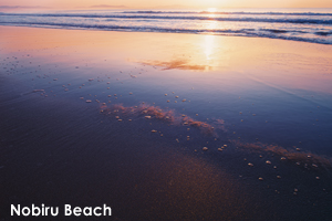 snobiru_oct_2009_08lr