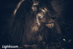 somoriyama_jul_2018_04lr