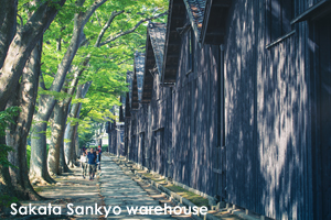 ssakata_sep_2017_03lr