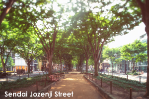 ssendai_aug_2008_13lr