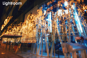 ssendai_dec_2010_03lr