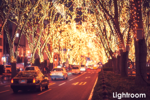 ssendai_dec_2010_05lr