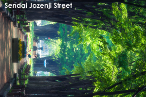 ssendai_may_2009_02lr