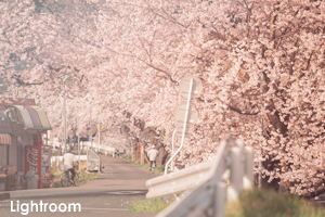 sshiroishigawa_apr_2008_18lr