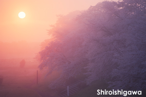 sshiroishigawa_apr_2010_10lr