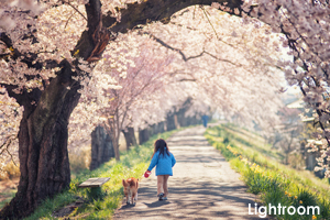 sshiroishigawa_apr_2010_21lr