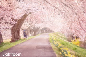 sshiroishigawa_apr_2016_02lr