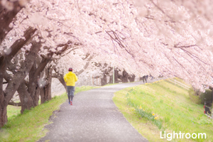 sshiroishigawa_apr_2016_06lr