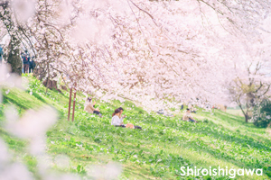 sshiroishigawa_apr_2018_15lr