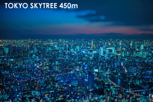 sskytree_nov_2016_04lr