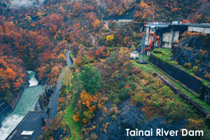 stainai_nov_2017_01lr