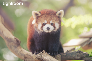 syagiyama_sep_2015_05lr